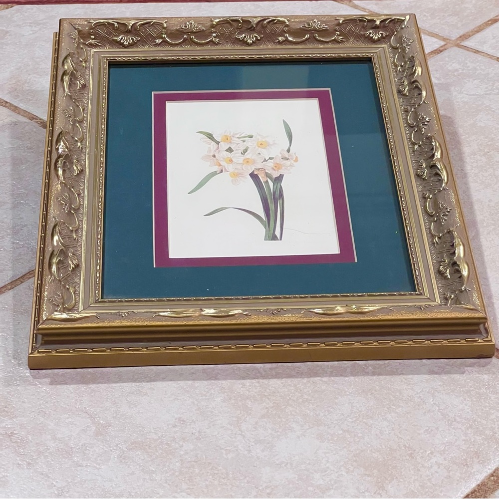Framed Dandelion print. Beautiful gold frame Ready to hang by cedar creek.